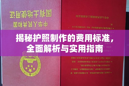 招远揭秘护照制作的费用标准，全面解析与实用指南